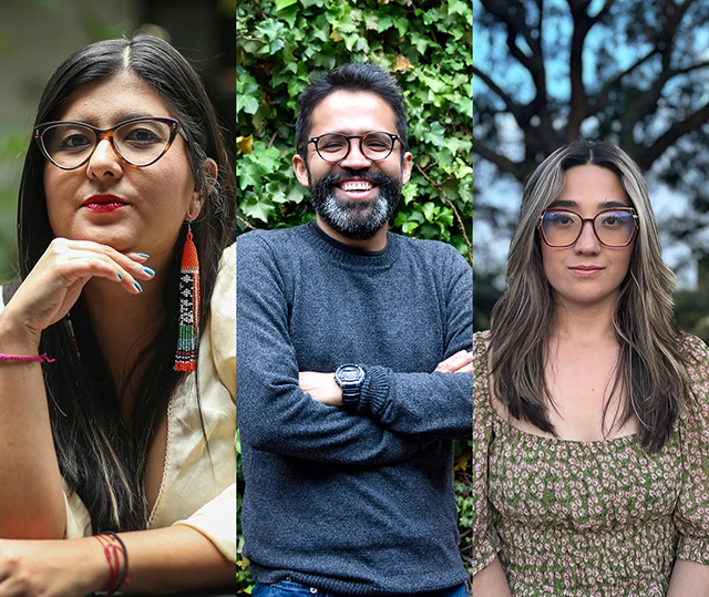 ¿Qué son los baldíos y por qué son tan importantes en Colombia?